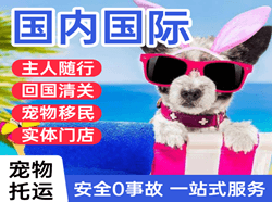 长春航空运输国际宠物托运 【国